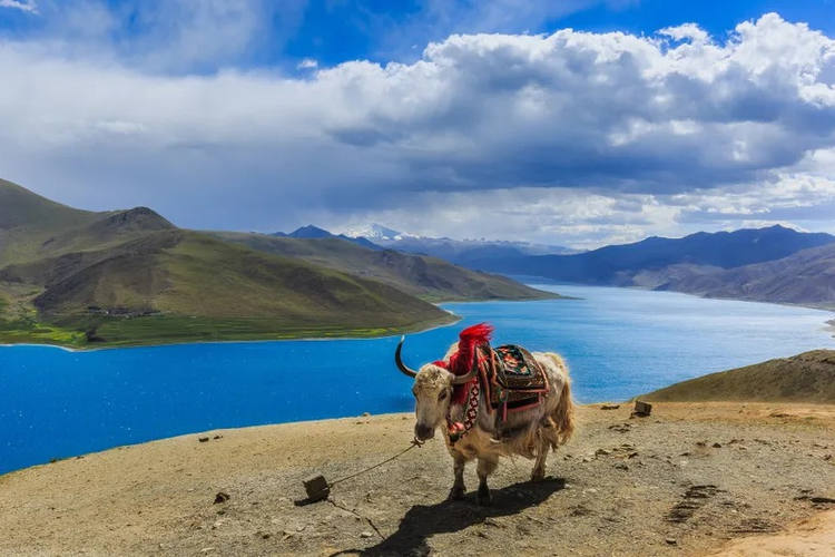 高山病対策とチベット旅行許可証